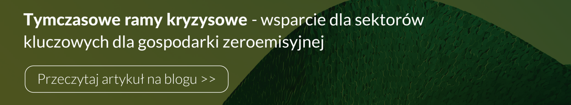 tymczasowe ramy kryzysowe